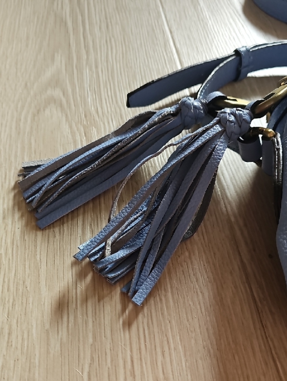 orYANY Light Blue Leather Tassel Crossbody Bag - Picture 2 of 15